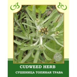 Cudweed Herb